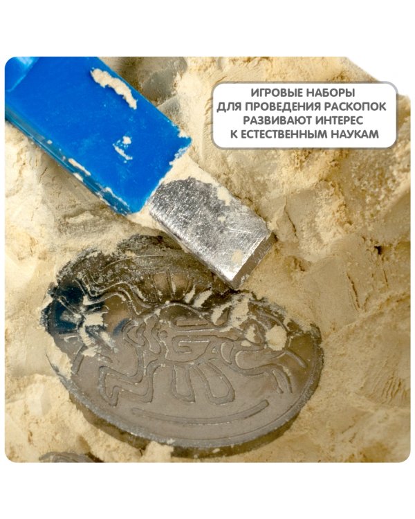 Набор археолога. Найди сокровища! Монетки Майя
