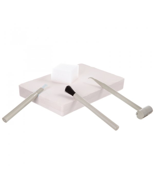 Исторические раскопки Ихтиозавр