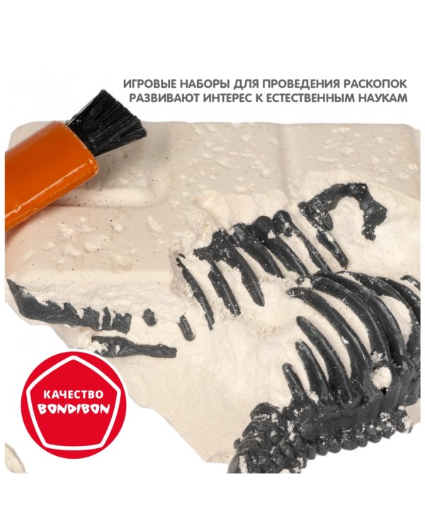 Набор палеонтолога Динозавр, Тираннозавр