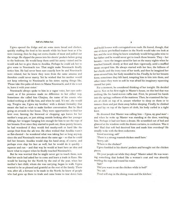 Half of a Yellow Sun