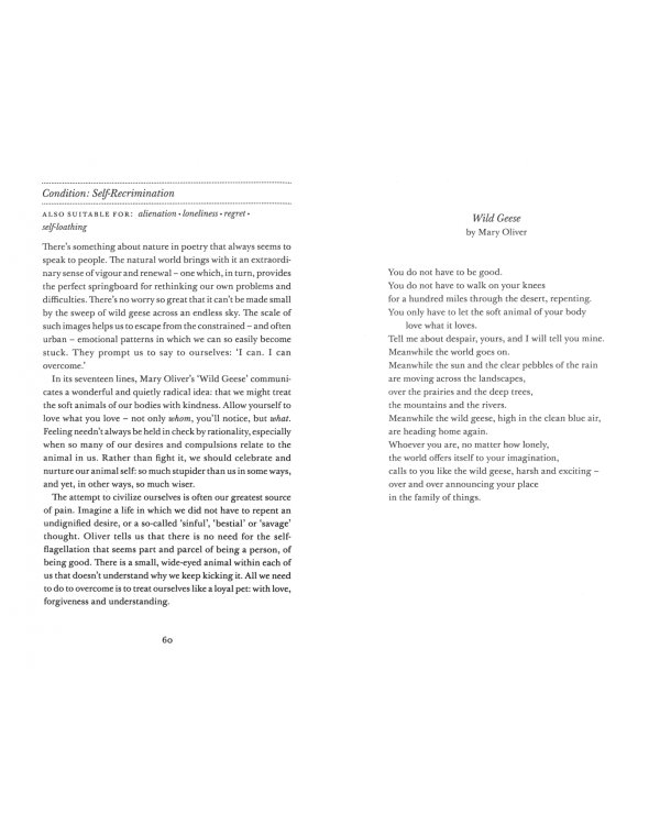 The Poetry Pharmacy. Tried-and-True Prescriptions for the Heart, Mind and Soul