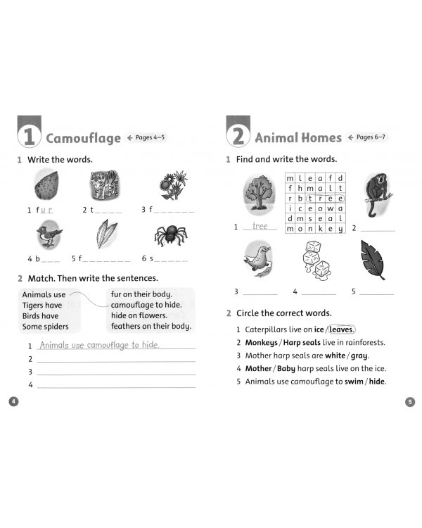Oxford Read and Discover. Level 2. Camouflage. Activity Book
