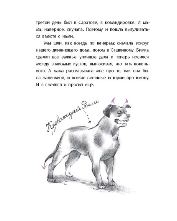 Ключ под ковриком. Рассказы Серёжи Данилочкина