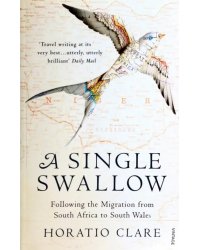 A Single Swallow. Following An Epic Journey From South Africa To South Wales