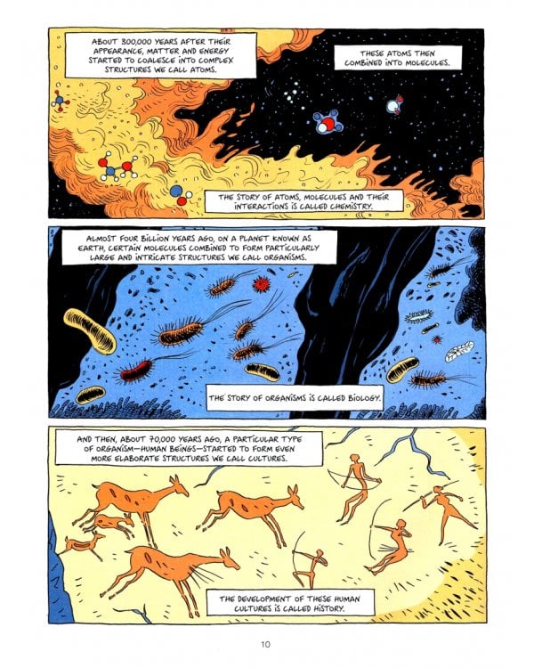 Sapiens. A Graphic History, Volume 1