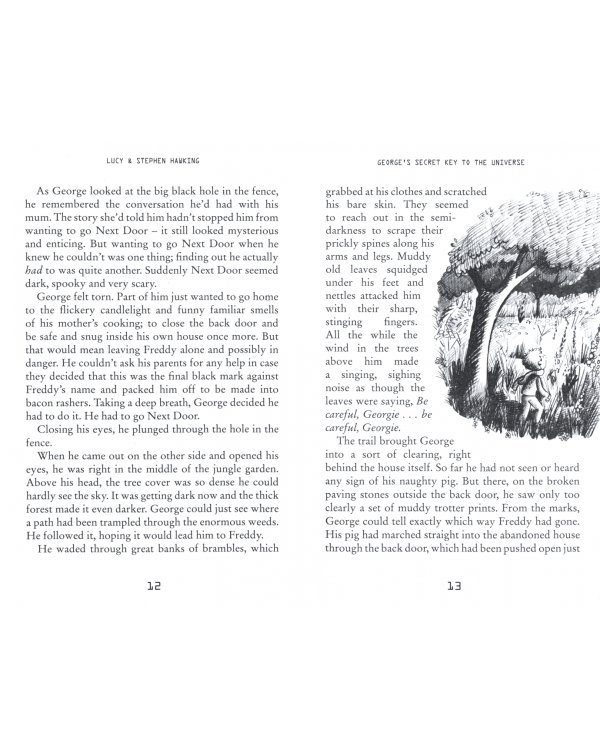 George's Secret Key to the Universe