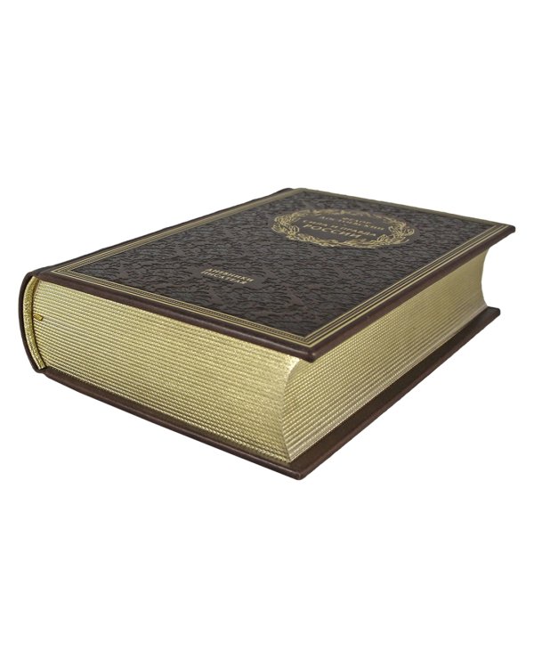 Сила и правда России. Дневники писателя