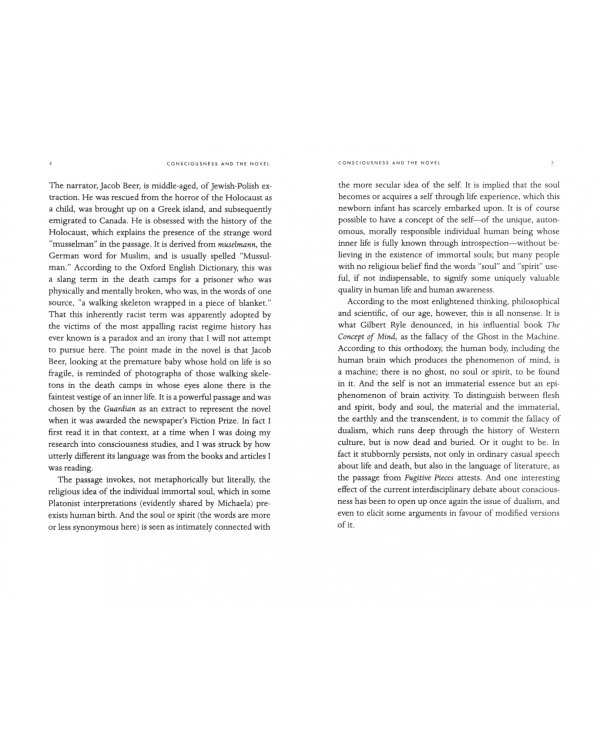 Consciousness And The Novel