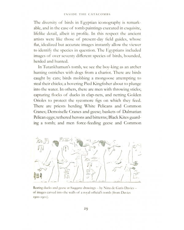 Birds and Us. A 12,000 Year History, from Cave Art to Conservation