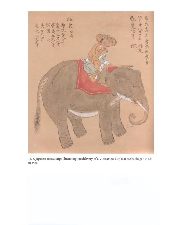 Horizons. A Global History of Science