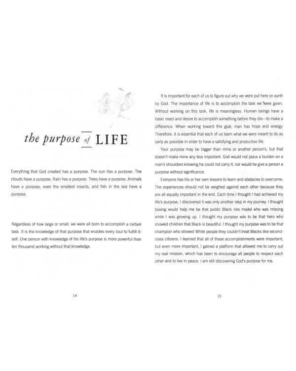 The Soul Of A Butterfly