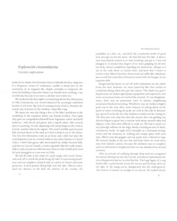 The Motorcycle Diaries