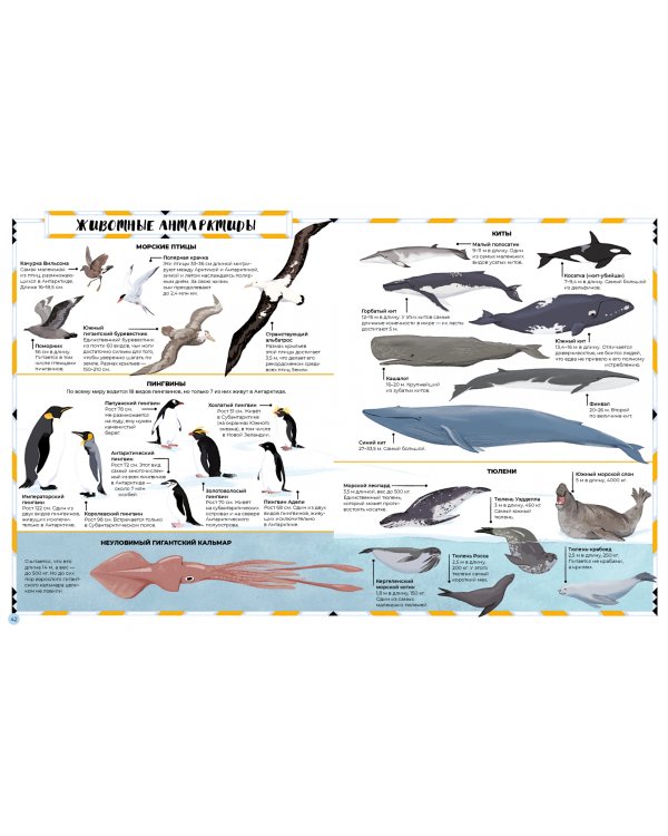 Антарктида. Тающий континент