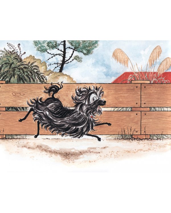 Hairy Maclary Scattercat