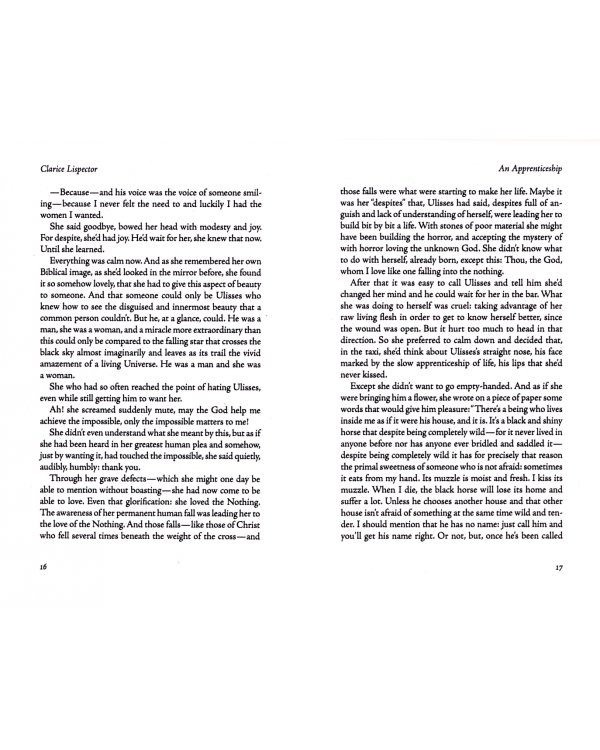 An Apprenticeship or The Book of Pleasures