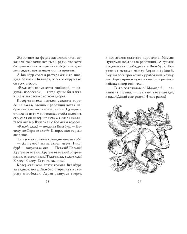 Паутинка Шарлотты