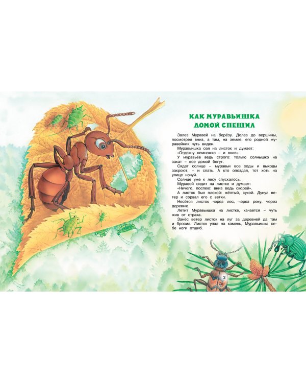 Как Муравьишка домой спешил. Сказки для малышей
