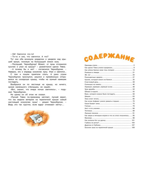 Ромашки в январе.Сказки для малышей