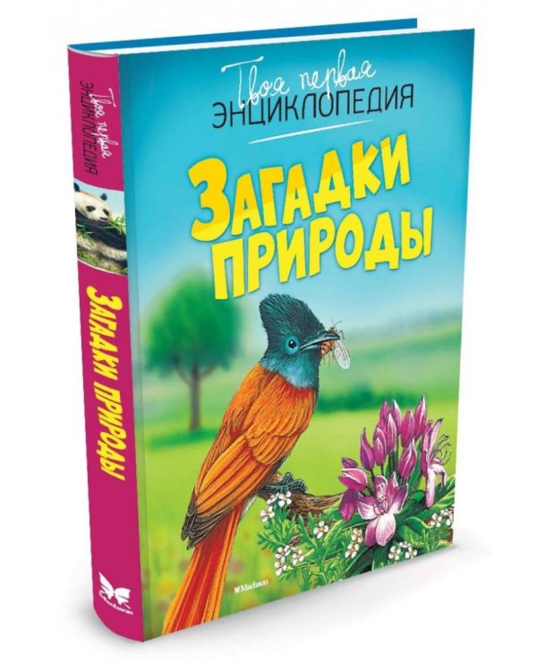 Загадки природы