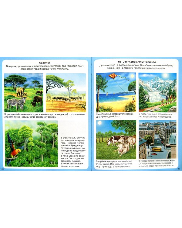 Загадки природы