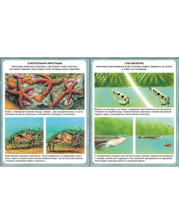 Животные-рекордсмены