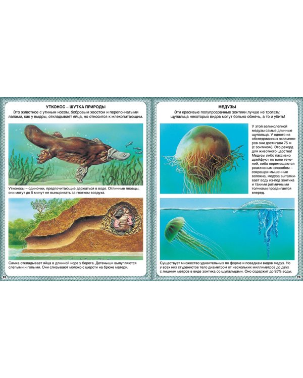 Животные-рекордсмены