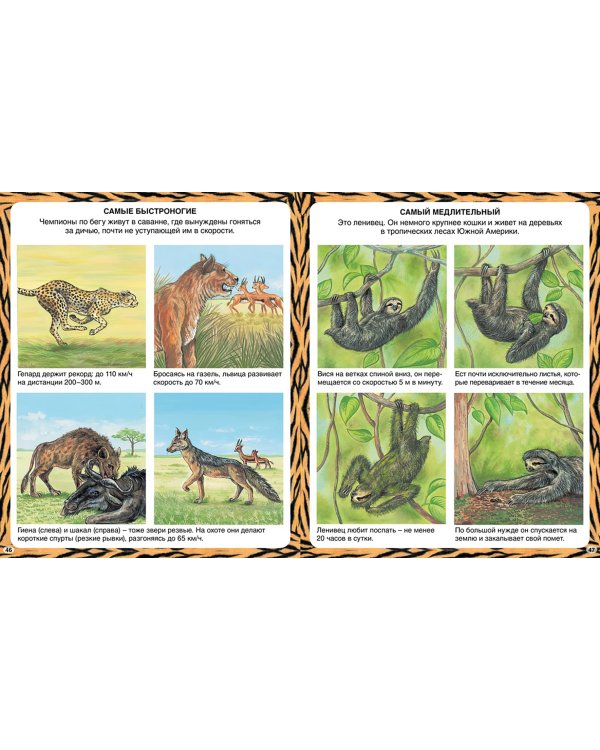 Животные-рекордсмены