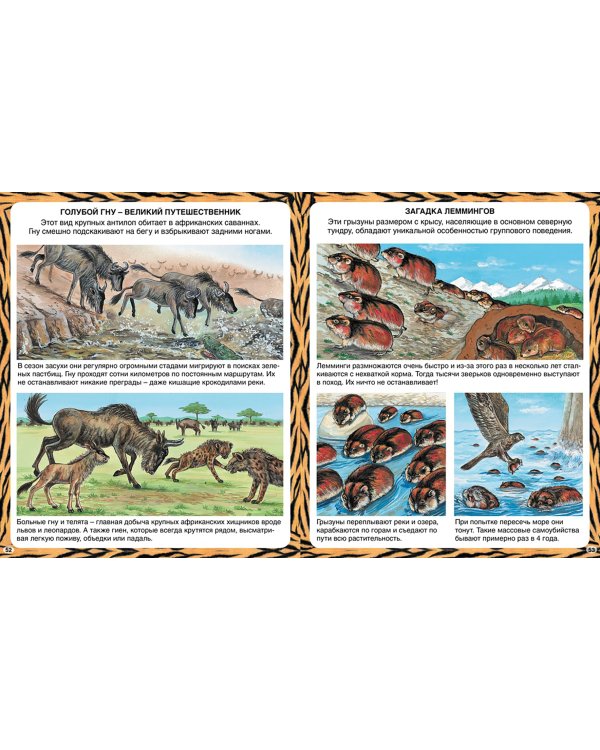 Животные-рекордсмены