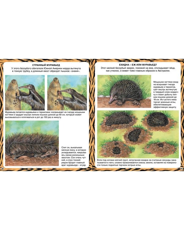 Животные-рекордсмены