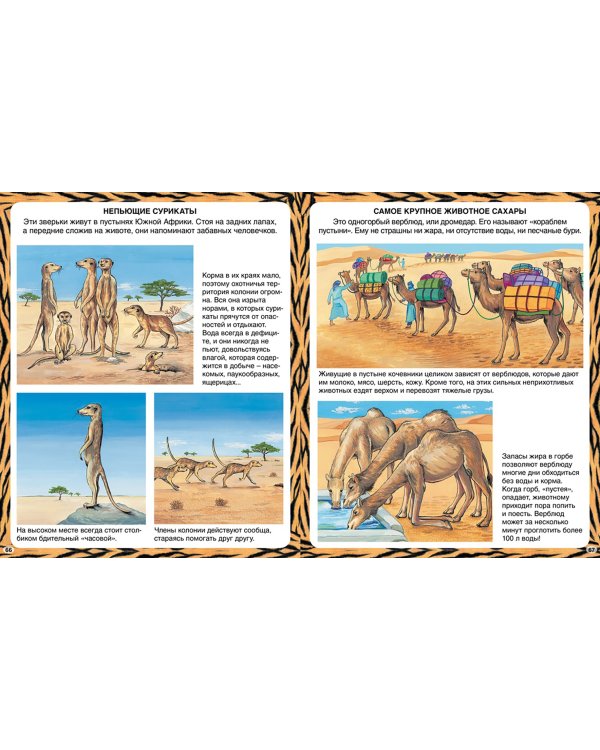 Животные-рекордсмены