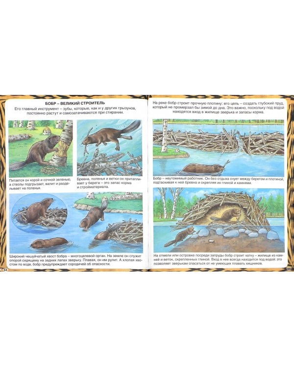 Животные-рекордсмены