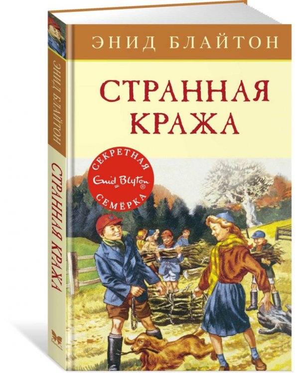 Странная кража