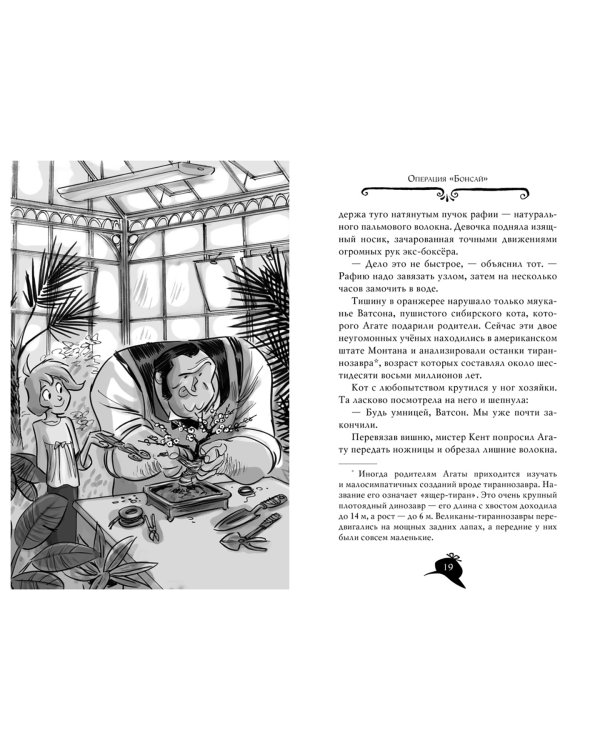 Агата Мистери. Книга 24. Месть на горе Фудзи