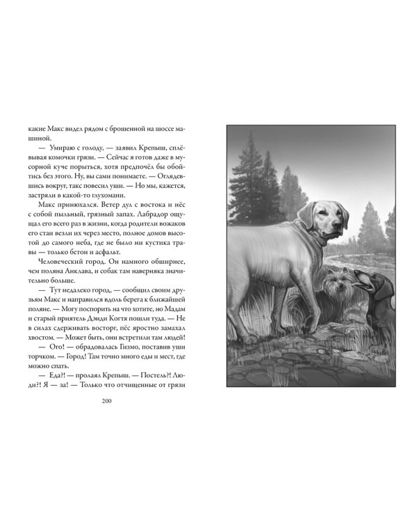 Верные.Кн.1.Когда исчезли все люди