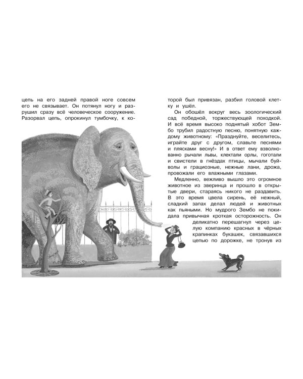 Белый пудель