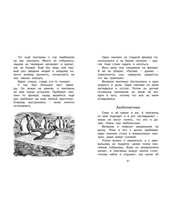 Беспокойный хвостик