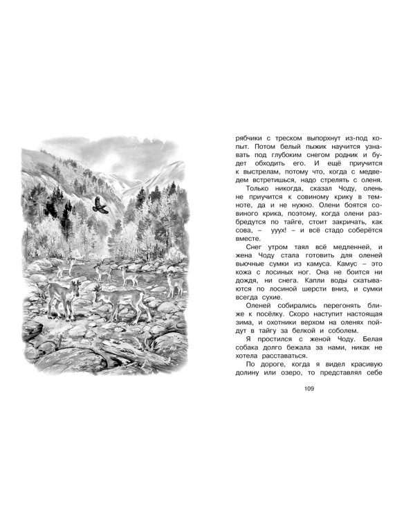 Беспокойный хвостик