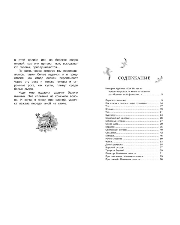 Беспокойный хвостик