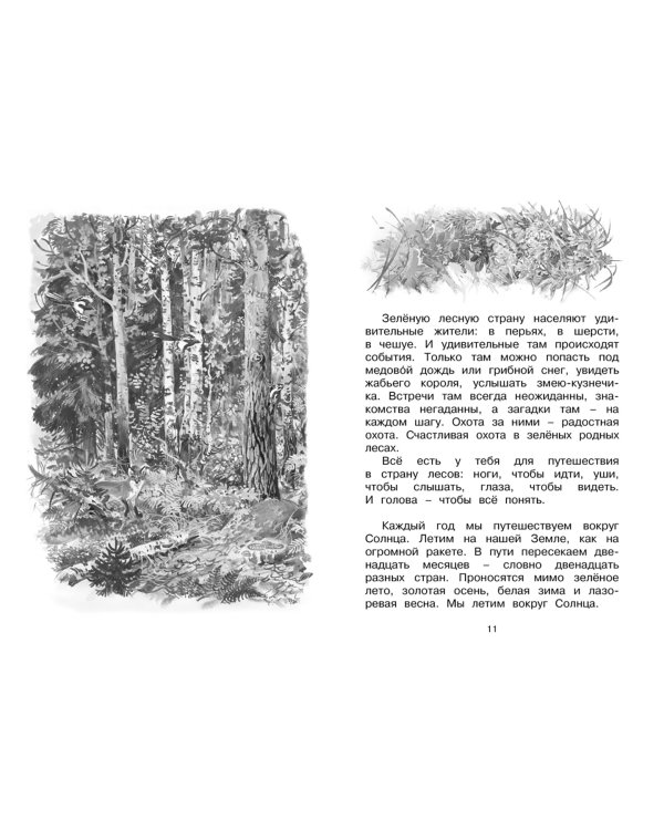 Лесные тайнички