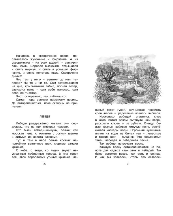 Лесные тайнички