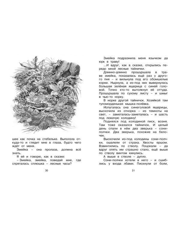 Лесные тайнички