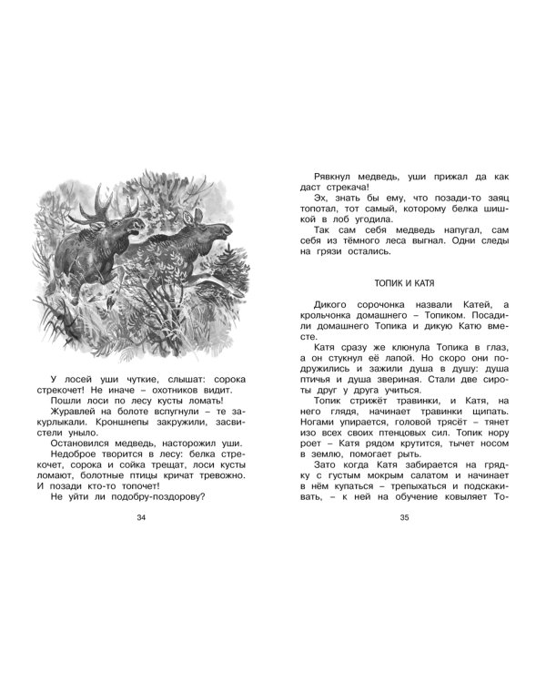 Лесные тайнички