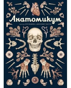 Анатомикум