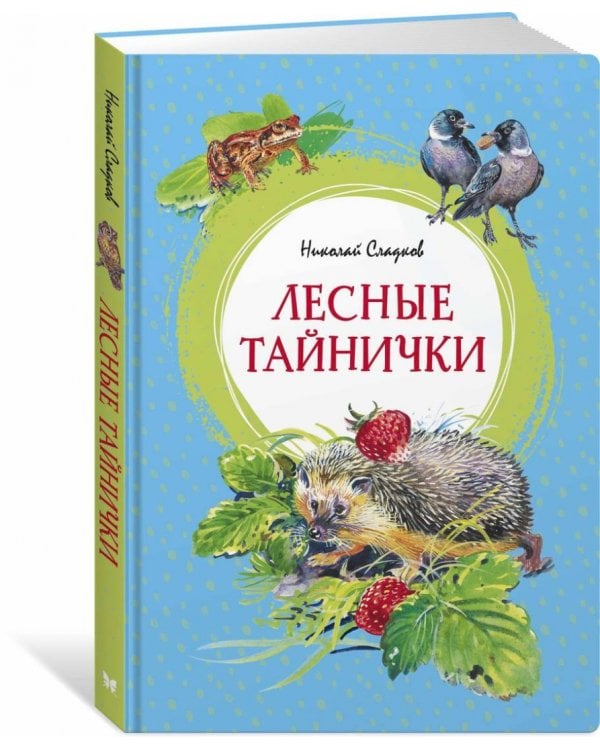 Лесные тайнички