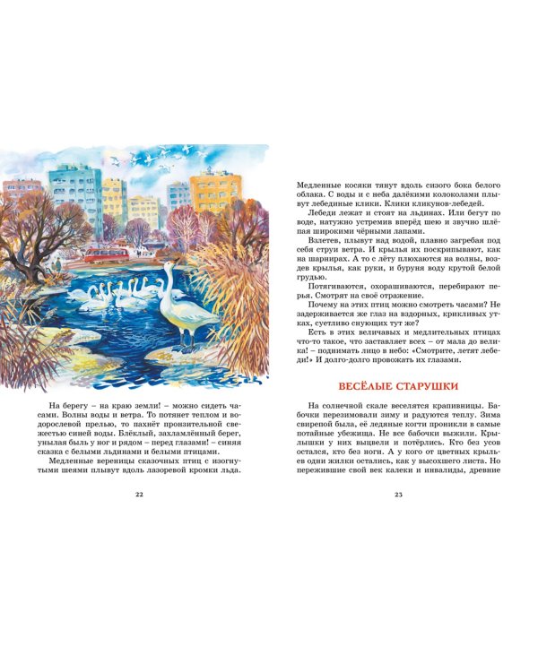 Лесные тайнички