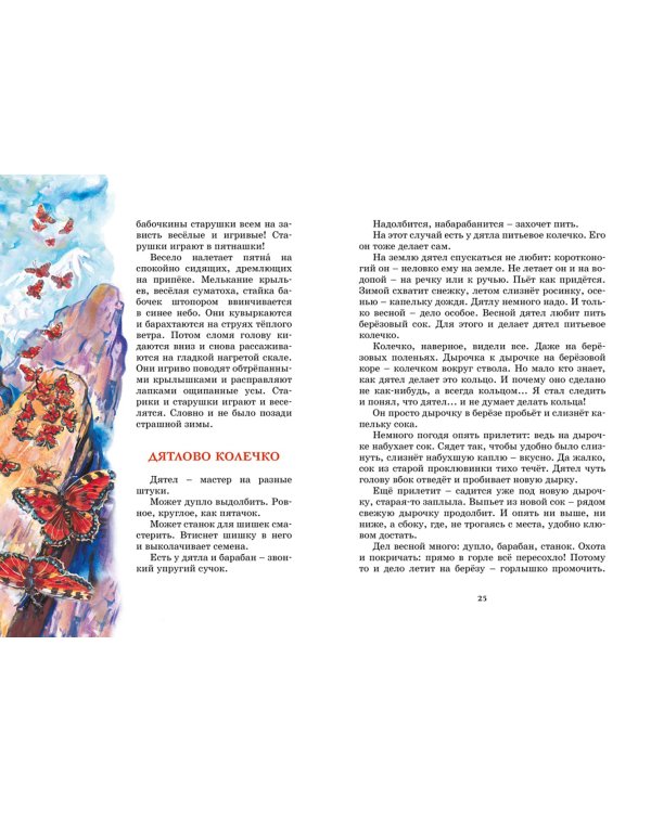 Лесные тайнички