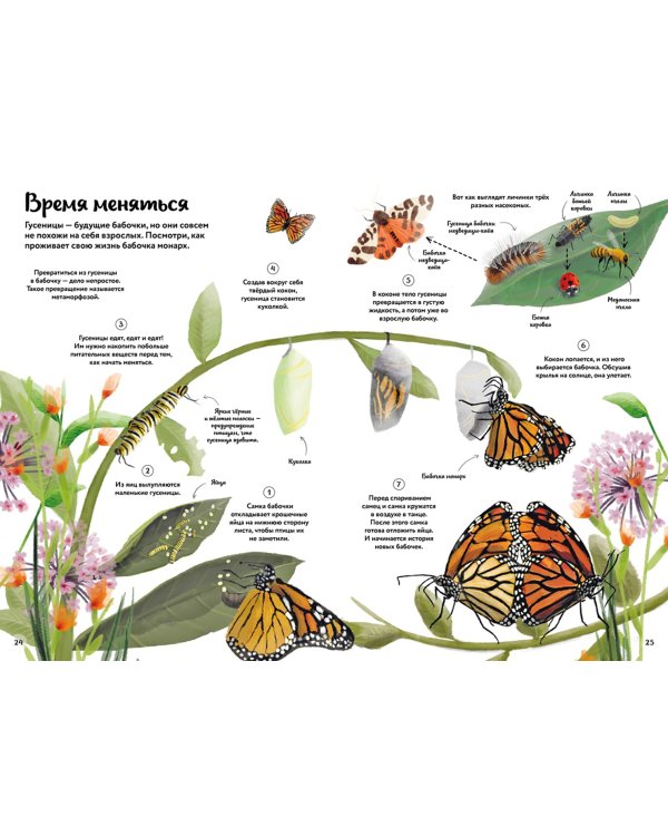 Большая книга о природе в картинках