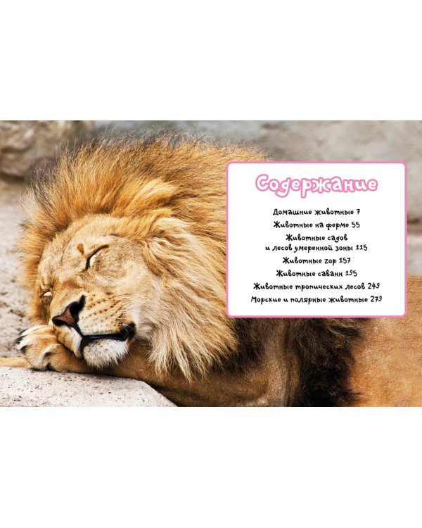 Моя любимая книга о животных