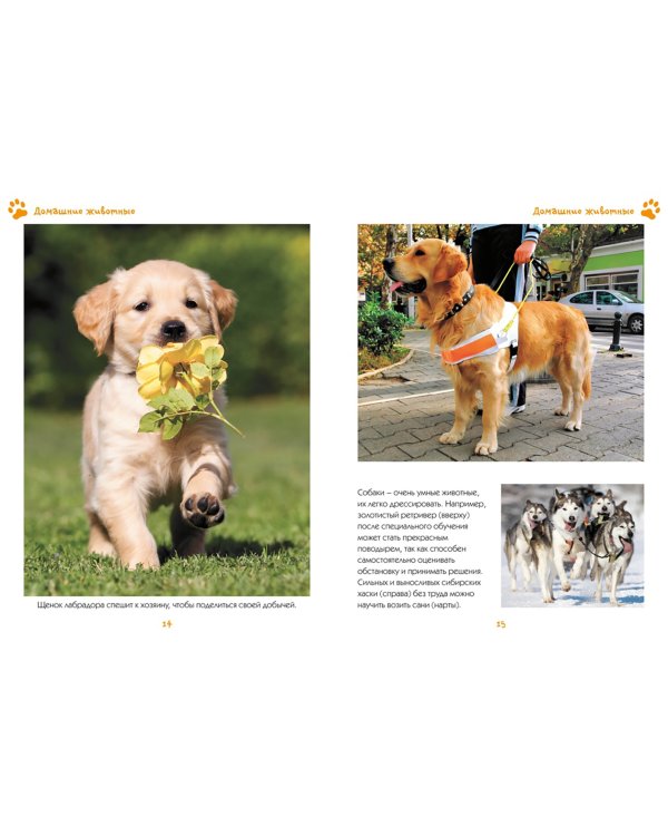 Моя любимая книга о животных