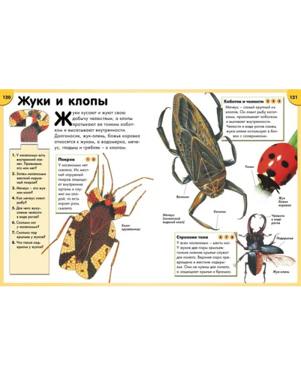 Обо всем на свете в вопросах и ответах